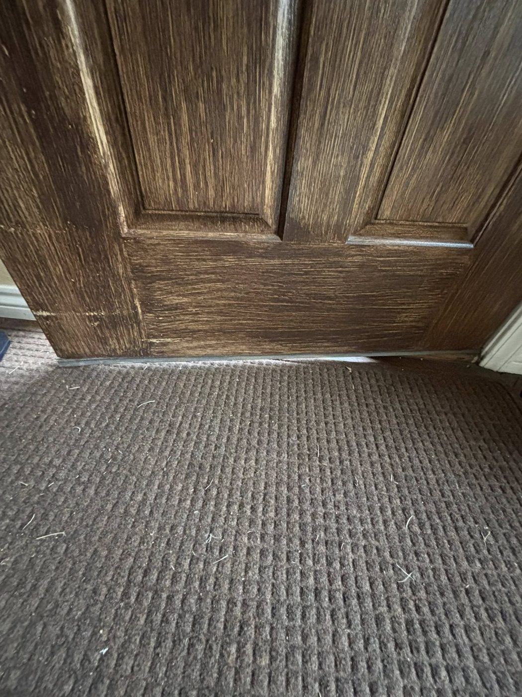 Door threshold before repair