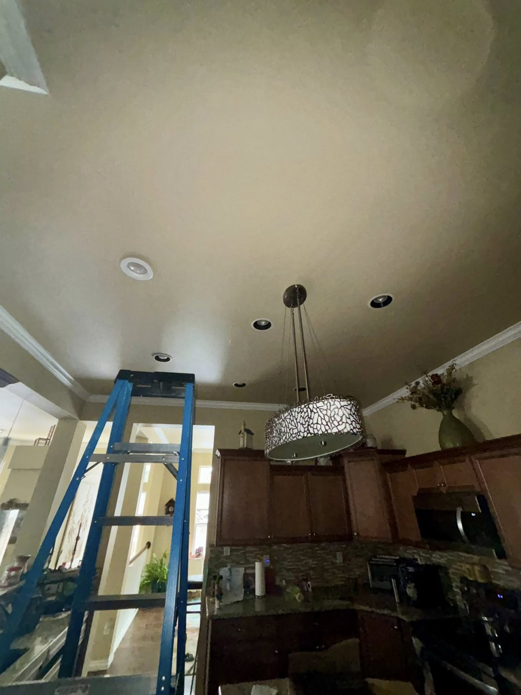 Recessed light fixture replacement