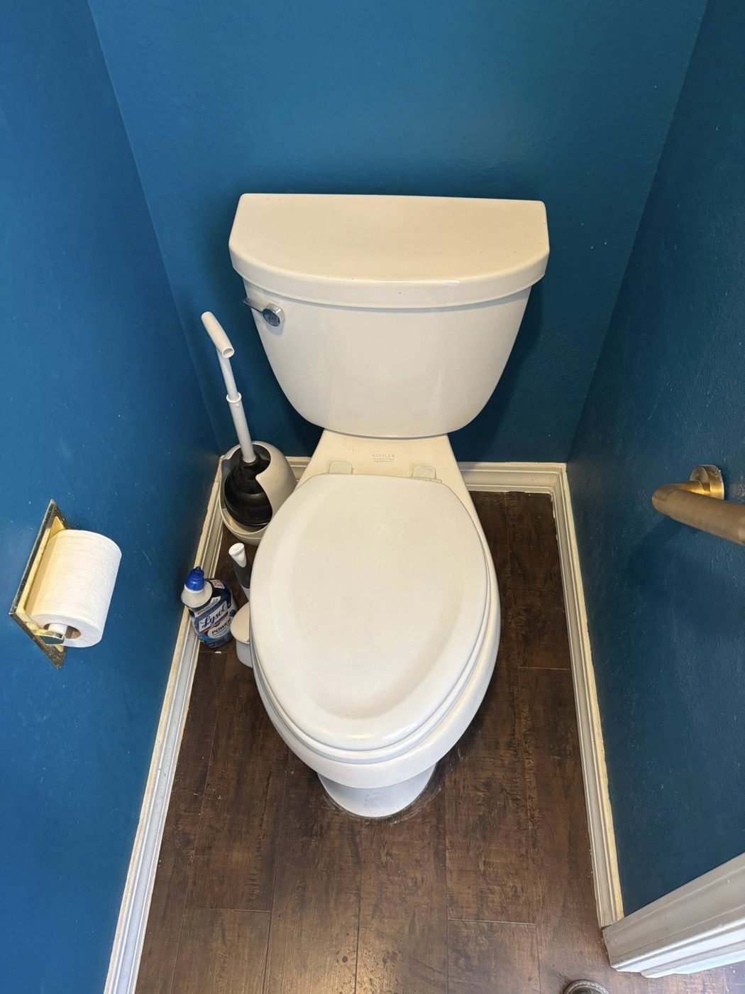 Old toilet before replacement